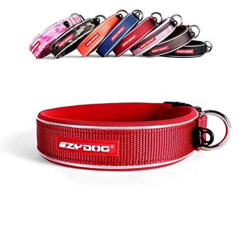 Image of EzyDog Neo - Dog Collar - Extra Large(52-61cm) - red