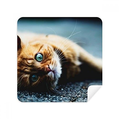 Image of DIYthinker Animal Pure Blue Eye Cat Photograph Glasses Cleaning Cloth Phone Screen Cleaner Suede Fabric 2Pcs