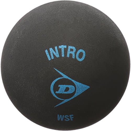 Image of Dunlop Intro Squash Ball, Black, One Size