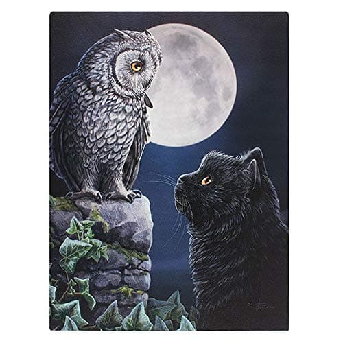 Image of 'Purrfect Wisdom' - Owl and Cat Canvas Plaque – 25cm x 19cm – Lisa Parker