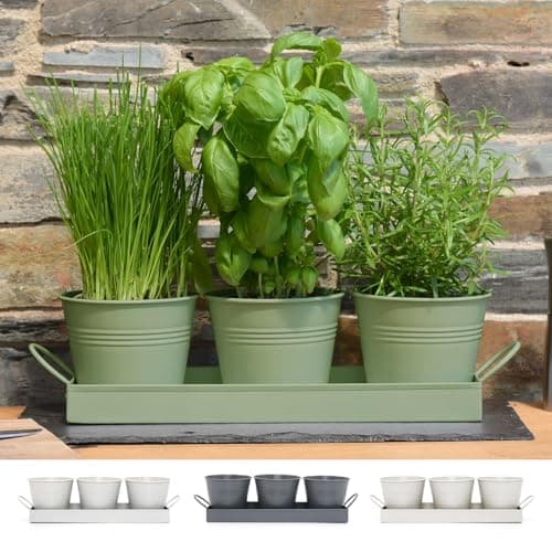 Image of CKB LTD Set of 3 Metal Herb Plant Pots with Drip Tray Traditional Indoor Windowsill Coloured Planter Box for The Kitchen Grow Your Own Herbs for Cooking (Sage Green)
