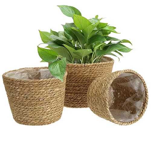 Image of Yesland 3 Pcs Seagrass Planter Basket, 25.4cm/21.6cm/18.4cm Woven Plant Containers & Flower Pots Cover for Plant Pot Basket in Indoor or Outdoor