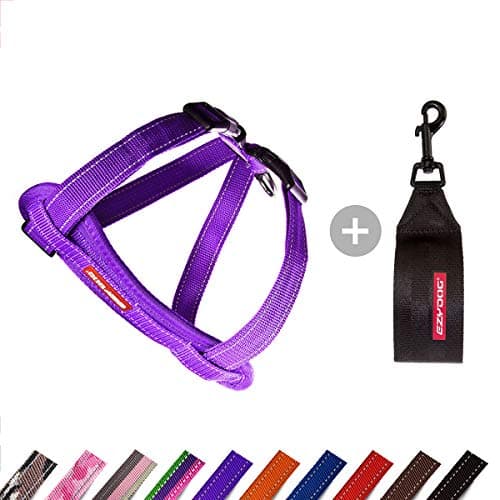 Image of EzyDog Adjustable Chest Plate Harness - Small, Medium, XL, & Large Dogs - Step-In, No Pull, Comfort Soft-Touch, Reflective, Durable - For Active Pets