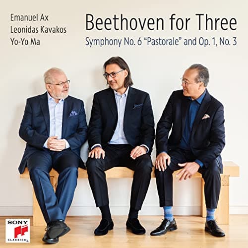 Image of Beethoven: Piano Trio No. 3 in C Minor, Op. 1, No. 3: IV. Finale. Prestissimo
