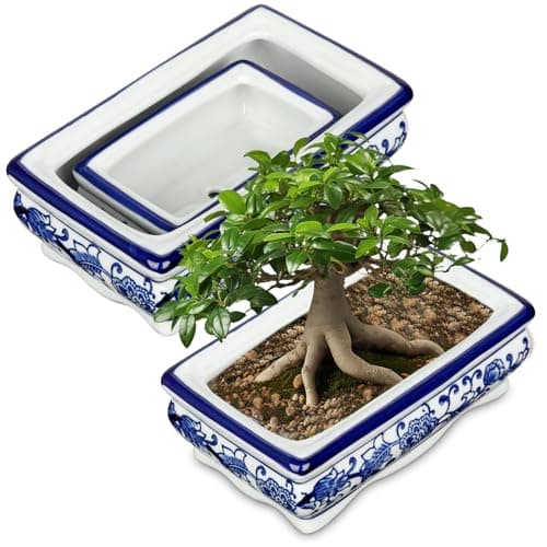 Image of Hollyone Set of 2 Ceramic Plant Pot 19CM 13CM, Blue and White Porcelain Flower Pot for Home Decor Indoor Chinoiserie Planter with Drainage Hole for Living Room Shelf Dining Table Bedroom Kitchen