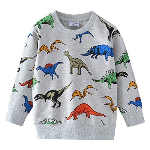 Image of DHASIUE Kids Boys Dinosaur Sweatshirt Jumper T-Shirt Cute Long Sleeve Tops Casual Cotton Tee Shirts Toddler Clothes, 01 Grey Dinosaur, 2-3 Years