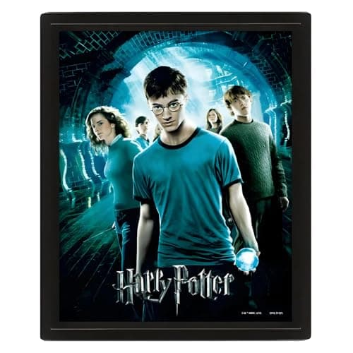 Image of Pyramid International Harry Potter 3D Lenticular Poster of Order of the Phoenix 25cm x 20cm x 1.3cm in Box Frame - Official Merchandise