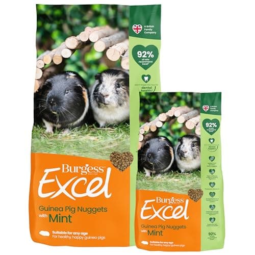 Image of Burgess Excel Guinea Pig Food with Mint, 10.5kg – Guinea Pig Nuggets for Adult Guinea Pigs – High Fibre, Mint Guinea Pig Pellets (Mixed Pack of 2)