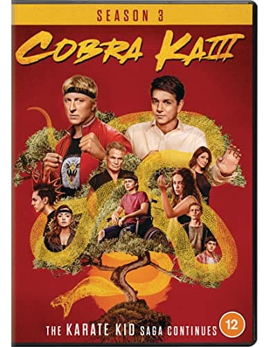 Image of Cobra Kai - Seasons 03 [DVD] [2021]