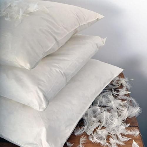 Image of Night Comfort Goose Feather and Down Cushion Pad 50 x 50 cm (20” x 20”) Inner Insert Filler with 100% Microfibre 230TC Down Proof Cover Anti Allergy, Anti Dustmite & Machine Washable