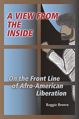 Image of A View from the Inside: On the Front Line of Afro-American Liberation (Saluki Publishing)