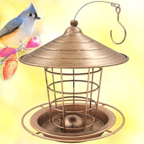 Image of Zeqeey Metal Bird Feeder Hanging Fat Globule Suet Pellet Ball Holder Iron Birdfeeder for Feeding Garden Wild Bird Robin Chickadee Sparrow