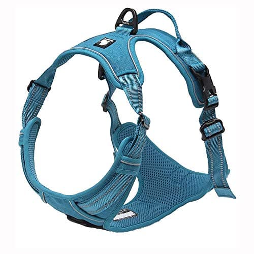 Image of TrueLove Dog Harness TLH5651 No-pull Reflective Stitching Ensure Night Visibility, Outdoor Adventure Big Dog Harness Perfect Match Puppy Vest (Blue,M)