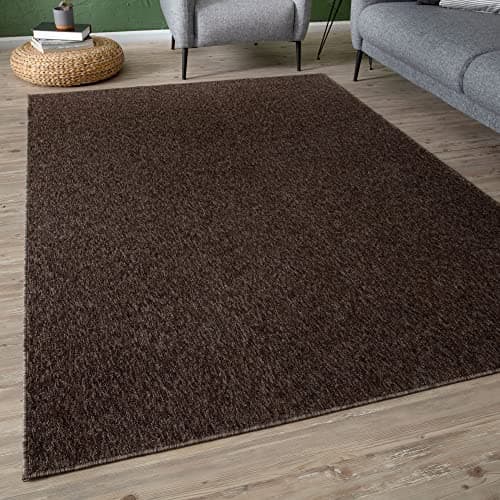 Image of THE RUGS Low Pile Area Rugs – Modern Indoor Rugs for Living Room, Bedroom, Dining Room, Entryway – Non-Shedding (Brown, 60x110 cm)