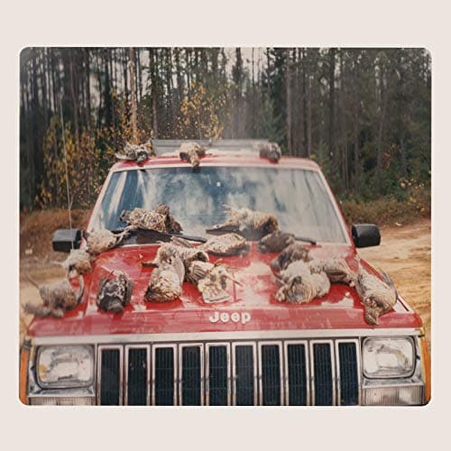 Image of Are Sing Sinck, Sing [VINYL]