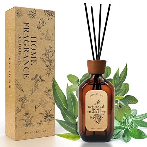 Image of SCENTORINI Reed Diffuser, Diffuser for Home, 120ml Eucalyptus Sage Scents 6 Reed Sticks, Home Fragrance for Yoga, Living Room, Meditation