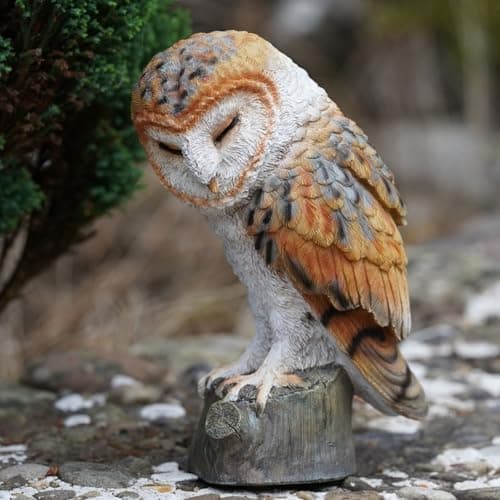 Image of Barn Owl Resin Sculpture Home Garden British Wildlife Statue Outdoor Ornament Eagle Large Bird Gift