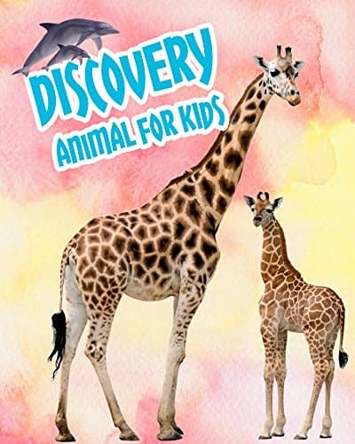 Image of Discovery Animal For Kids: The Animals That Kid Should Know (Baby Book Animals 1)