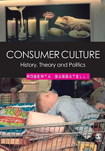 Image of Consumer Culture: History, Theory and Politics