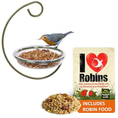 Image of Robin bird feeder with food - Jacobi Jayne® Easy-Clean Hanging Treat Dish and I Love Robins® food - Ideal for Bird Seed, Mealworms & table scraps - Hanging bird feeder for wild bird food