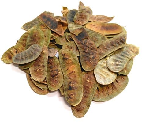 Image of Senna Pods, (50g)