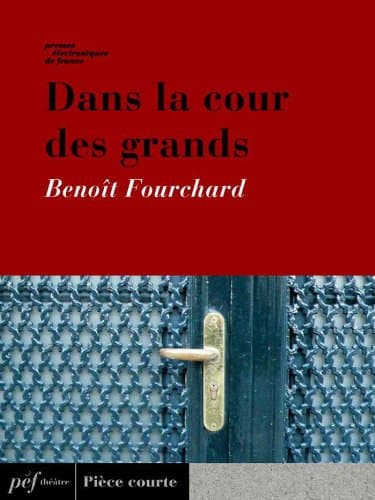 Image of Dans la cour des grands (French Edition)