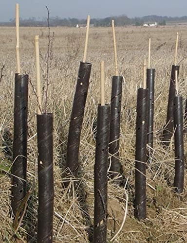 Image of Elixir Gardens Spiral Tree Guards 2ft/24 Professional Rabbit/Pest, Sapling & Shrub Protector x 10