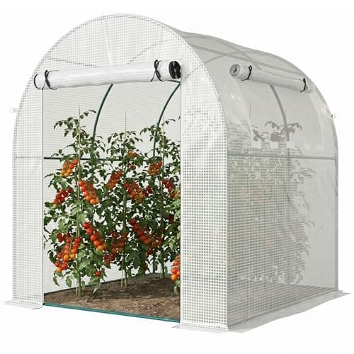 Image of Outsunny Walk in Polytunnel Greenhouse, Tomato Greenhouse with Roll-up Window and Door, PE Cover, Steel Frame for Garden, 1.8 x 1.8 x 2 m, White