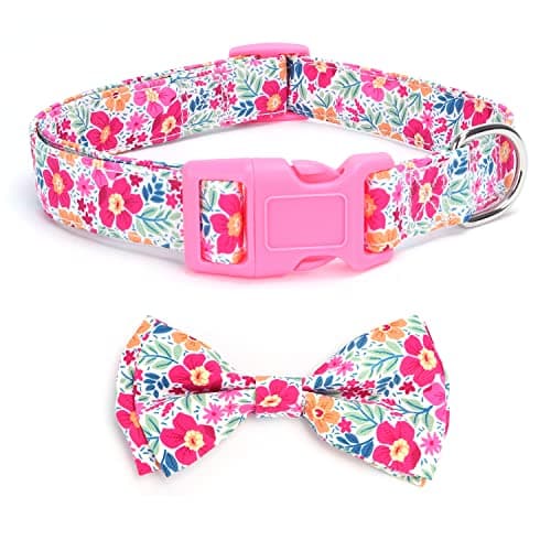 Image of haoyueer Soft Comfy Bowtie Dog Collar,Detachable and Adjustable Bow Tie Collar,for Girl Female Small Medium Large Dogs (M, Pink1)