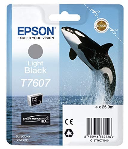 Image of Epson C13T76074010 T7607 Ink Cartridge, Light Black, Genuine
