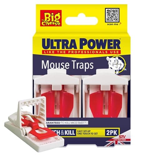 Image of The Big Cheese Ultra Power Ready-Baited Mouse Trap - Twin Pack - Reusable Mouse Traps For Indoor & Outdoor Use - Humane Mouse-Trap - Easy to Clean Plastic Mice Trap - Prebaited Rodent Trap