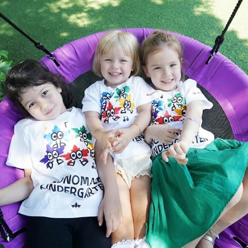 Image of JUNGLE WELL Nest Swing Seat for Kids - 100cm Heavy Duty 900D Oxford Fabric, 160KG Capacity, Adjustable Tree Straps & 2 Carabiners | UKCA & CE Certified for Indoor & Outdoor Use (Jubilee Purple)