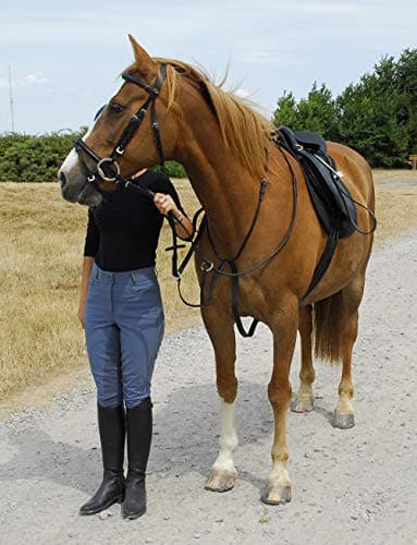 Image of Windsor Equestrian Leather Running Martingale (Full, Black)