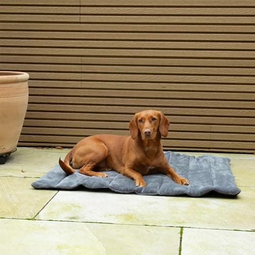 Image of Scruffs Expedition Roll Up Travel Pet Bed