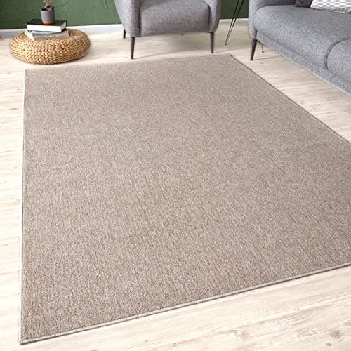 Image of THE RUGS Low Pile Area Rugs – Modern Indoor Rugs for Living Room, Bedroom, Dining Room, Entryway – Non-Shedding (Beige, 120x170 cm)