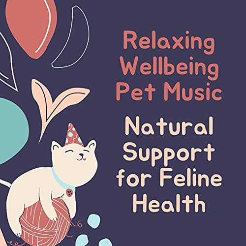 Image of Sleep Soother with Nature Sounds