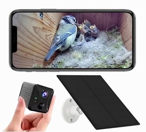 Image of Solar Bird Box Camera with WiFi – Wireless HD Nest Box Camera with Night Vision | Live Stream Garden Birds to Your Phone | Solar Powered Wildlife Camera