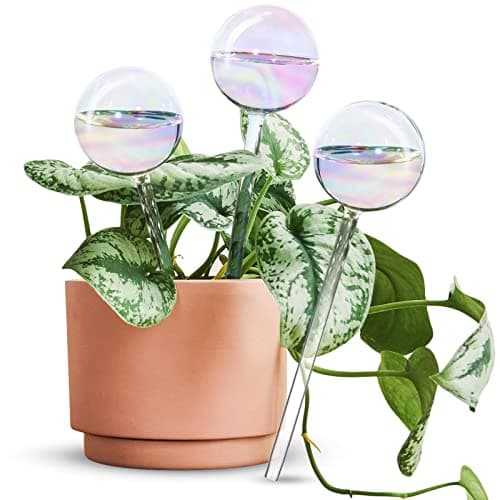 Image of [3PCS] Light Iridescent Rainbow Gradient Color Clear Glass Self-Watering System Spikes, Automatic Plant Waterer Bulbs