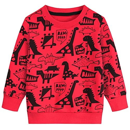 Image of DHASIUE Boys Sweatshirt Jumper Kids Cute Dinosaur Long Sleeve Tops Casual Cotton Shirts Toddler Clothes Age 4-5 Years