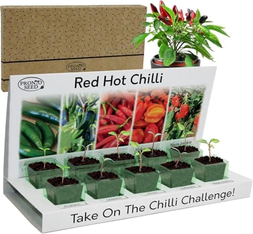 Image of Pronto Seed Grow Your Own Chilli Plant Kit with 5 Seeds Varieties - Indoor Growing Set with Sustainable Packaging Display - Gift for Women, Men - Beginner-Friendly (Chilli Kit)