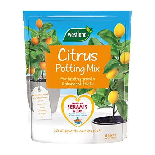 Image of Westland Potting Compost Mix and Enriched with Seramis, Brown, 8 Litre