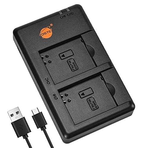 Image of DSTE DMW-BTC11 Battery USB Dual Quick Charger Compatible for Panasonic DMW-BCM13E,DMW-BCM13,DMW-BCM13PP Battery, Panasonic Lumix DMC-FT5,DMC-TS5,DMC-TZ37,DMC-TZ40,DMC-TZ41,DMC-ZS27,DMC-ZS30 Camera