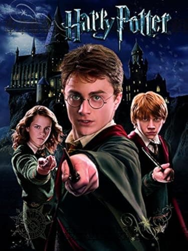 Image of Harry Potter "Harry Ron Hermione" Canvas Print, 40 x 50 cm
