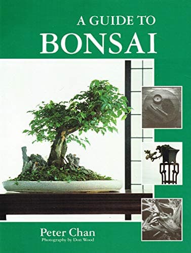 Image of A Guide to Bonsai
