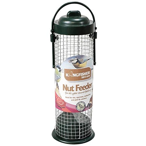 Image of Kingfisher BF027 Green Standard Bird Nut Feeder, Transparent, 7.6x8.5x28 cm
