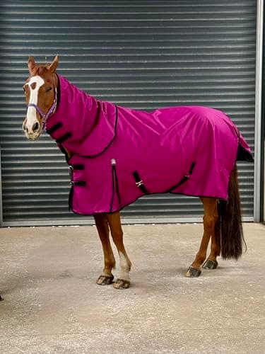 Image of Turner Equestrian Horse Turnout Rug, 600D Lightweight Waterproof, Deep Raspberry, 100g Fill (6'6" With Detachable Neck)