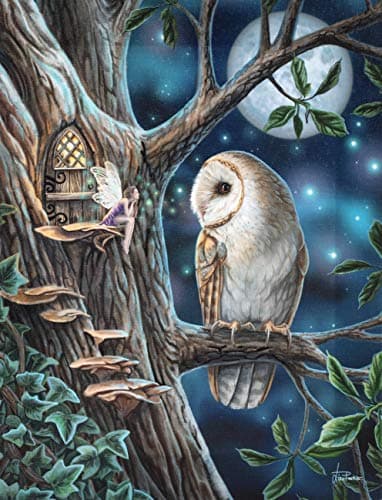 Image of Lisa Parker Mystical Fairy Tales Canvas Plaque 25cm x 19cm (1 Pc) - Enchanting Wall Decor - Perfect Gift