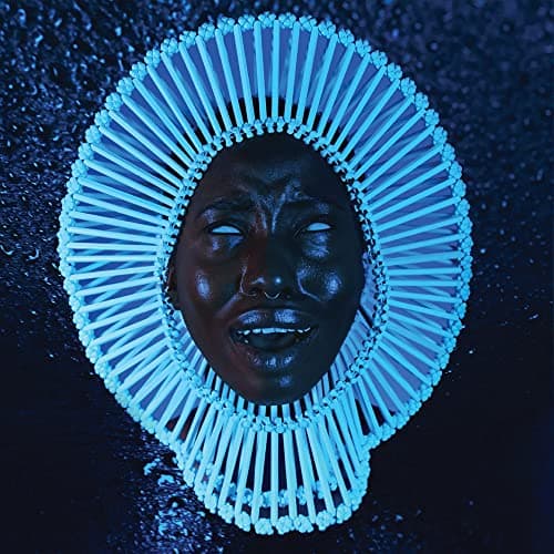 Image of "Awaken, My Love!" [VINYL]
