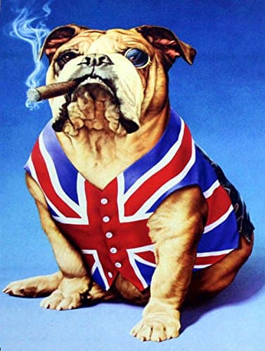Image of Shawprint bulldog union jack british, Retro metal Aluminium Sign vintage bar pub man cave (150MM X 200MM (6" X 8"))