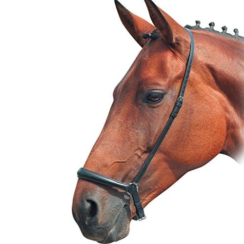 Image of Shires Blenheim Drop Noseband-Black Full